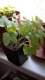 20170315_102424.webp