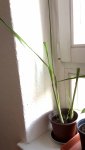 20170315_102847.jpg