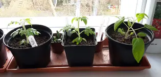 20170315_102827.jpg