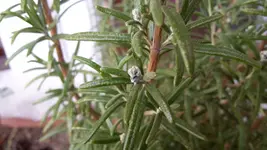 20170315_112002.webp