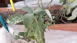 20170315_112038.webp