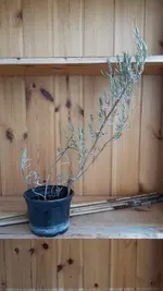 20170315_112028.webp
