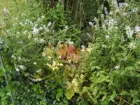 BILD5606.webp
