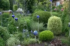 Buchs3010.webp