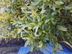 20170315_162720.jpg