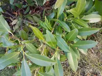 20170315_162732.jpg