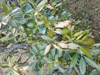 20170315_162741.webp