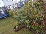 20170315_162758.jpg