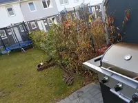 20170315_162829.jpg