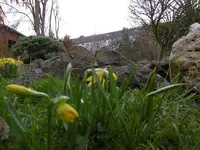 P1000320.webp