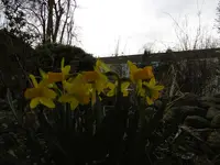 P1000321.webp