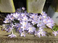 P1040647.webp