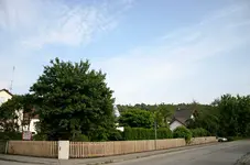 Zaun0107.webp