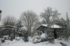 Winter2310.webp