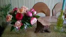 400_3034643832646433.webp