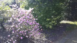 IMG-20170316-WA0000.webp