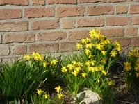 P1040650.webp