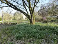 P1040668.webp