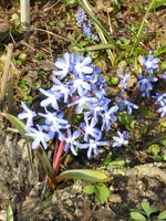 P1040680.webp