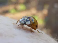 P1040723.webp P1040723.webp