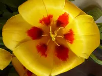 P1040731.webp
