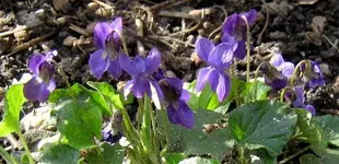 IMG_7388 (2).webp