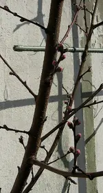 IMG_7406.webp