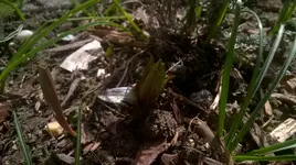 WP_20170312_006.webp