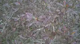 WP_20170314_005.webp