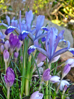 P1130311.webp