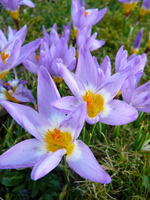 P1130324.webp