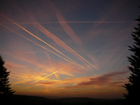 P1130306.webp