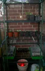 WP_20170315_004.webp