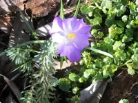 Bilda004.webp