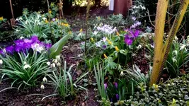 20170316_142751.webp