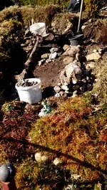 20170316_143103.webp
