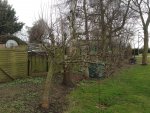 IMG-20170314-WA0000.jpg