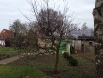 IMG-20170314-WA0001.jpg