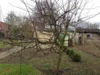 IMG-20170314-WA0003.jpg