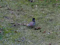 P1000263.jpg