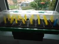 DSCN5143.webp