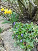 DSCN5150.jpg