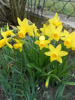 DSCN5151.jpg
