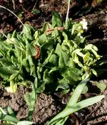 20170316_142836.jpg