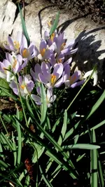 20170316_142849.webp