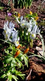 20170316_142946_HDR.webp