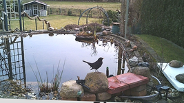 grosser Teich_800.webp