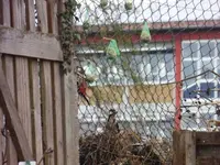 P1290170.webp