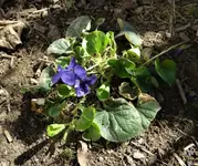 DSC09012.webp