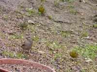 P1290190.webp